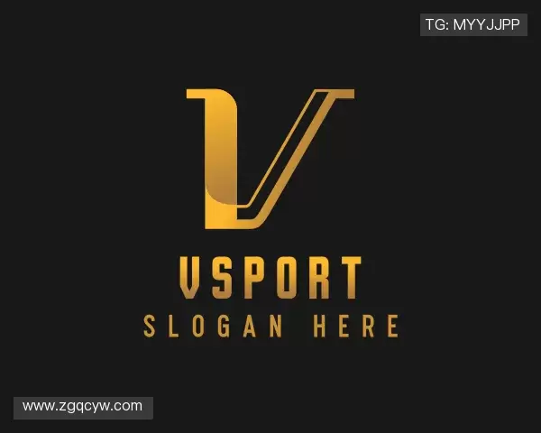 关于VSport